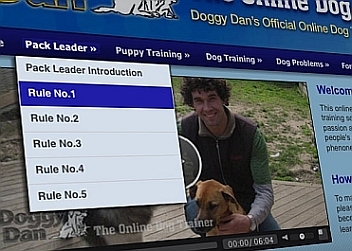 Screen Shot of 5 Golden Rules drop down menu on Online Dog Trainer website to follow to establish yourself as the pack leader