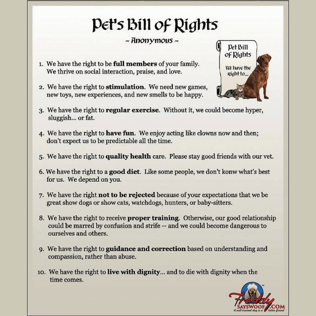 Pet's Bill of Rights