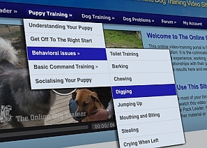 Screenshot from Online Dog Trainer website showing drop-down menu items for "Puppy Training"