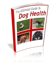Dog Training Mastery "The Ultimate Guide to Dog Health ebook-cover-image
