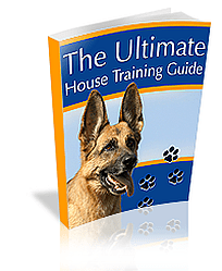 Dog Training Mastery - "The Ultimate House Training Guide" ebook-cover-image