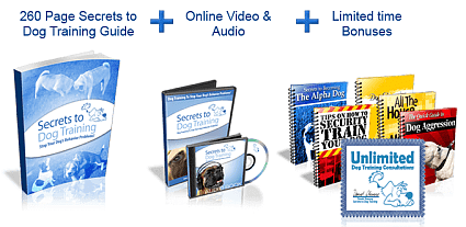Dog Training Mastery - collage of all components of the multimedia package