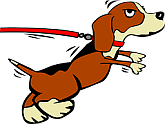 how to leash train a puppy dog- cartoon beagle pulling at leash