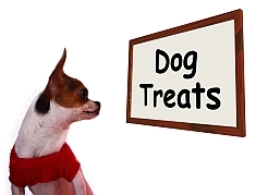 How To Potty Train a Puppy - image of puppy looking at sign saying "Dog Treats"