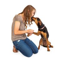 Dog with young girl - dogs recognize human emotions