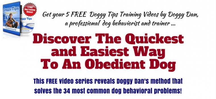 Easiest Way To An Obedient Dog