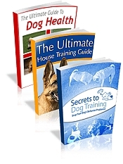 Dog Training Mastery - eBook components of multimedia package